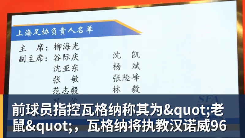 九游体育前球员指控瓦格纳称其为"老鼠"，瓦格纳将执教汉诺威96